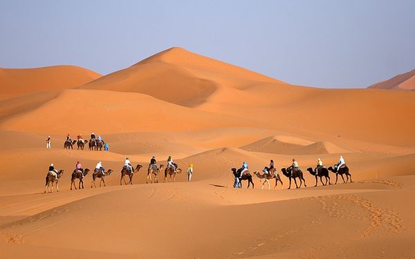 Camel Trekking